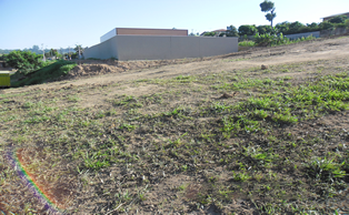 Image Caption